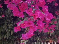 -云南师范大学(一二一西南联大校区)