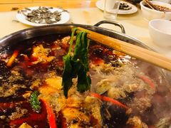 -蜀滋香鲜鱼美蛙火锅(339店)
