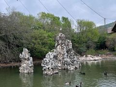 -合肥野生动物园