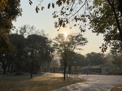 -东莞植物园