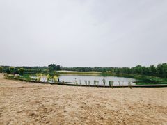 -东郊湿地公园