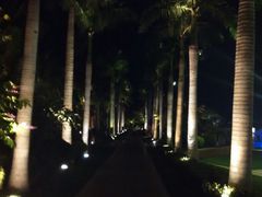 android_upload_pic-三亚亚龙湾瑞吉度假酒店