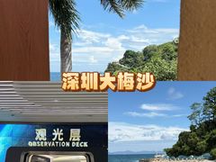 -大梅沙海滨公园