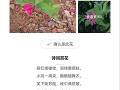 -银座和谐广场