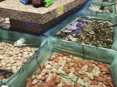 -初色海鲜自助(万丰路店)