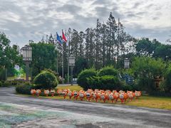 -上海长兴岛郊野公园