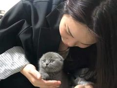 -客栈猫舍(中央北路店)