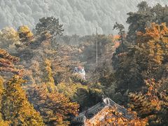 -潭柘寺景区