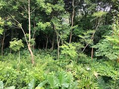 -滴水岩森林公园