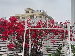 -秘密花园·换装下午茶·团建·沙龙·主题布置