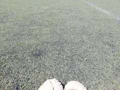 -华中农业大学第二运动场