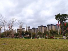 -龙江公园