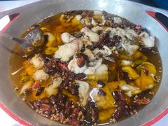 -蜀龙阁· 龍头水煮鱼(天坛店)