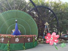 -呀路古热带植物园