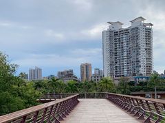 -金鸡岭桥头公园