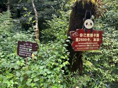 -西岭雪山大飞水景区