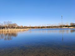 -永定河休闲森林公园