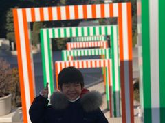 -台场海滨公园船码头