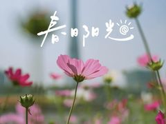 -海心沙亚运公园