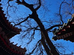 -贤良祠