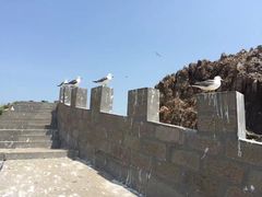 -海驴岛(荣成市)