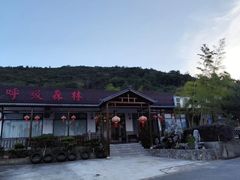 -呼吸森林·生态农庄农家乐私房菜