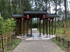 -滨湖塘西河公园