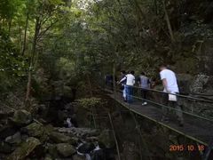 -藏龙百瀑风景区