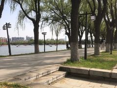 -北陵公园