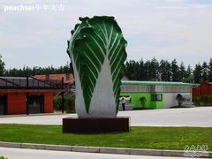 -上海都市菜园