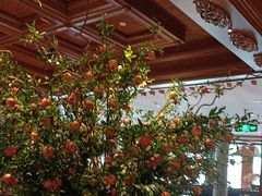 -八府香鸭·啫啫煲(华山路店)