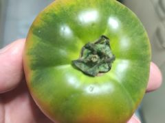 -物美大卖场(玉蜓桥店)