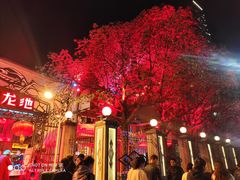 -文和友老长沙龙虾馆(化龙池店)