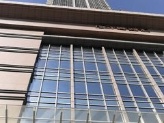 -虎门美思威尔顿酒店(海之光自助餐)