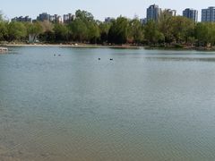 -太阳宫公园