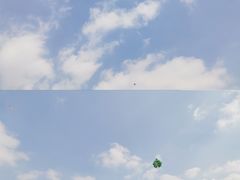 -院士公园