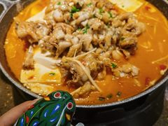 -蛙喔牛蛙(百联南方店)