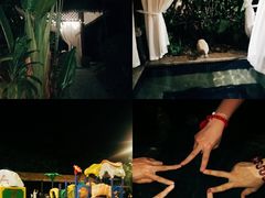 -碧桂园润杨溪谷温泉酒店