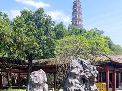 -顺峰山公园