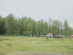 -凤嫂农家乐(梁弄店)