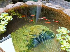 -31号公馆(黄兴广场白果园店)