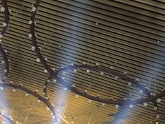 -青岛海尔洲际酒店