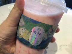 -野萃山·潮汕厚果汁(十亩地店)