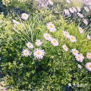 好想学画画画出大自然的气息~