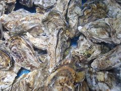 -港畔赶海蒸汽海鲜烧烤自助(仙螺岛店)