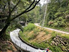 -龙岩森林水乡景区