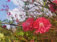 -白水带风景区体育公园