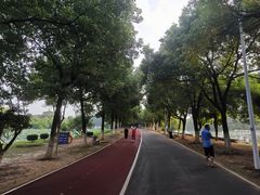 -艾溪湖湿地公园