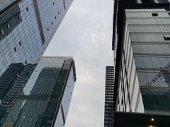 -重庆市江北嘴中央商务区中央公园