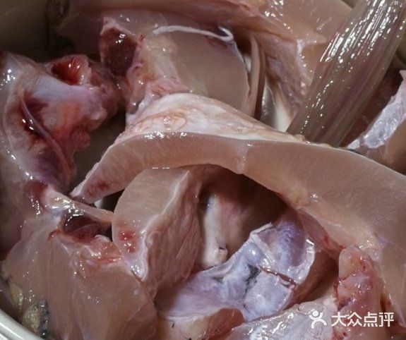 姜葱清蒸皖鱼腩肉质鲜嫩又美味